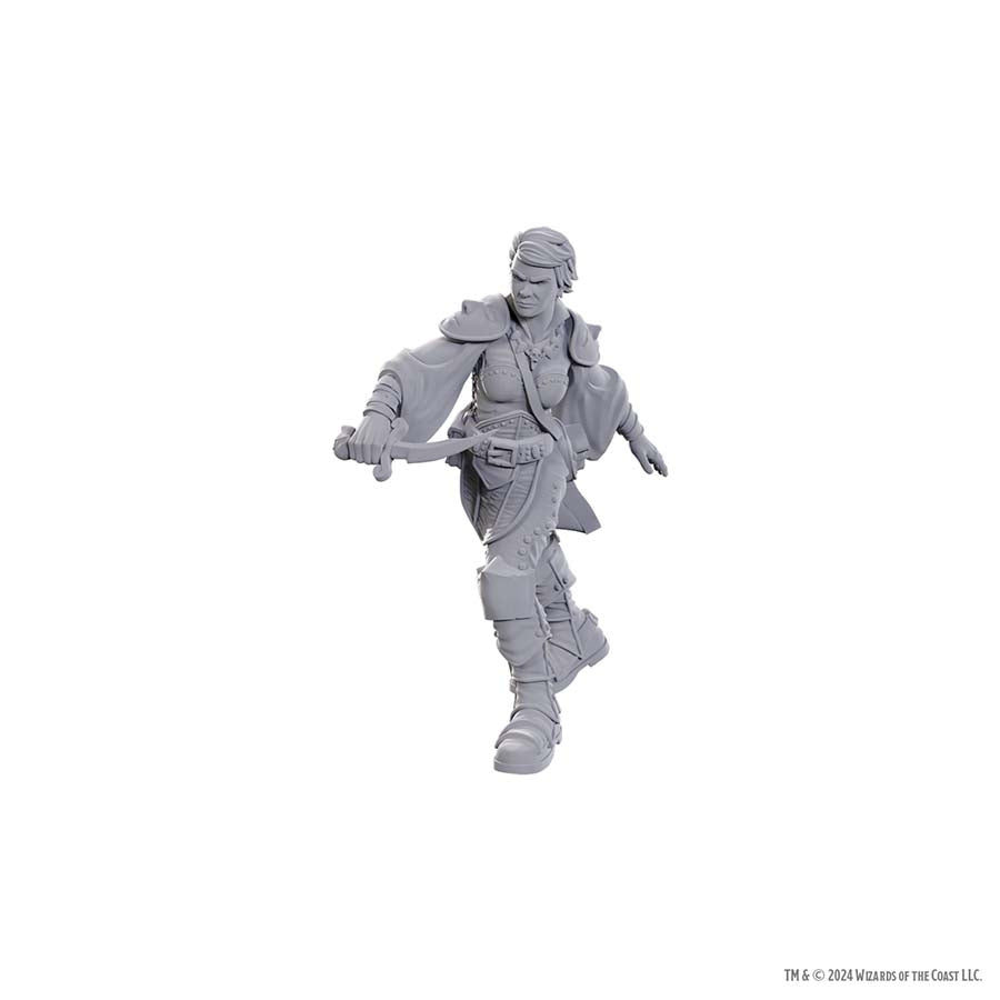 DUNGEONS AND DRAGONS NOLZUR'S MARVELOUS MINIATURES: W25 SWASHBUCKLER