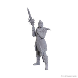 DUNGEONS AND DRAGONS NOLZUR'S MARVELOUS MINIATURES: SPECIAL EDITION BALDUR'S GATE 3: LAE'ZEL AND SHADOWHEART