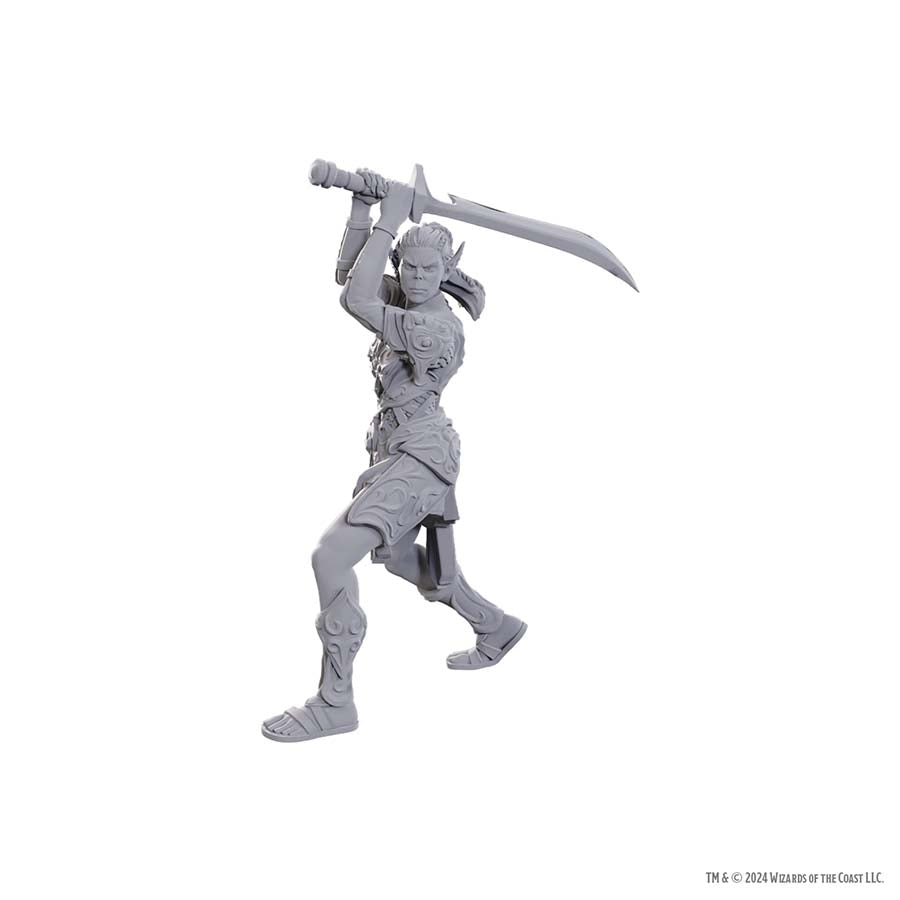 DUNGEONS AND DRAGONS NOLZUR'S MARVELOUS MINIATURES: SPECIAL EDITION BALDUR'S GATE 3: LAE'ZEL AND SHADOWHEART