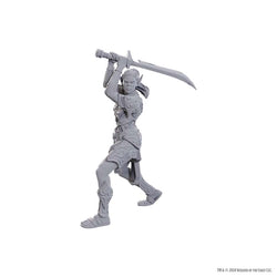 DUNGEONS AND DRAGONS NOLZUR'S MARVELOUS MINIATURES: SPECIAL EDITION BALDUR'S GATE 3: LAE'ZEL AND SHADOWHEART
