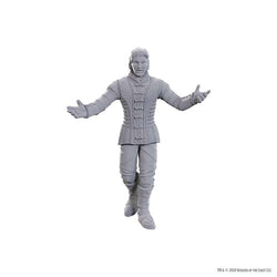 DUNGEONS AND DRAGONS NOLZUR'S MARVELOUS MINIATURES: SPECIAL EDITION BALDUR'S GATE 3: SAREVOK ANCHEV AND RAPHAEL