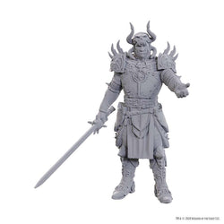 DUNGEONS AND DRAGONS NOLZUR'S MARVELOUS MINIATURES: SPECIAL EDITION BALDUR'S GATE 3: SAREVOK ANCHEV AND RAPHAEL